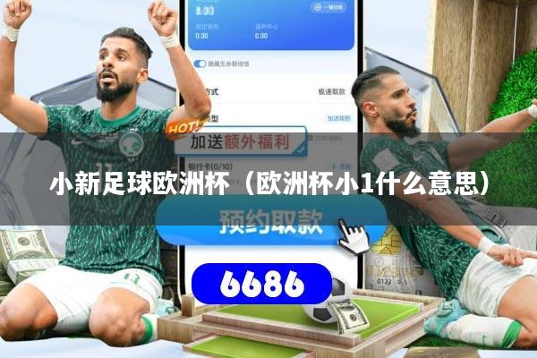 小新足球欧洲杯（欧洲杯小1什么意思）