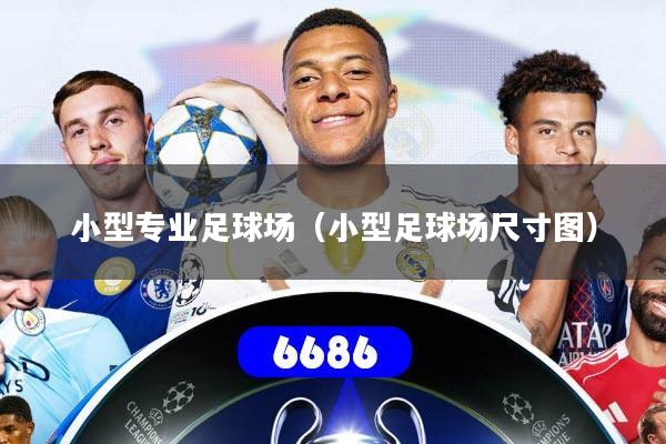 详细阅读:小型专业足球场(小型足球场尺寸图) 小型专业足球场(小型足球场尺寸图)